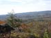 IMG_0131